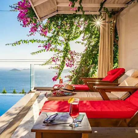 Eco Karanfil * Kalkan