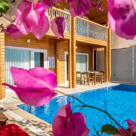 Eco Karanfil Kalkan