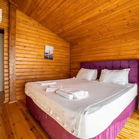 Eco Karanfil * Kalkan